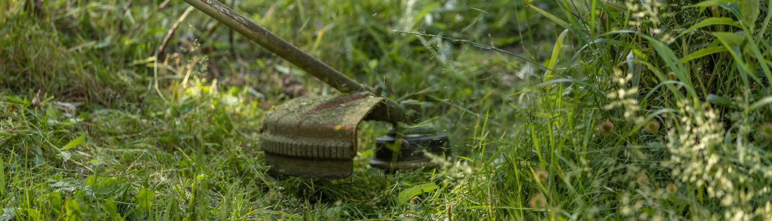 Kvalitní aku křovinořez zvládne jakoukoliv zahradu